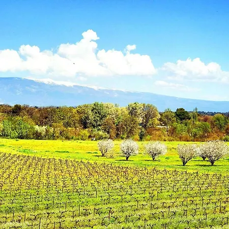 Domaine De La Brave